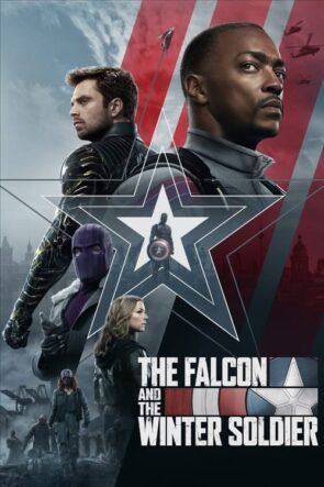 The Falcon and the Winter Soldier